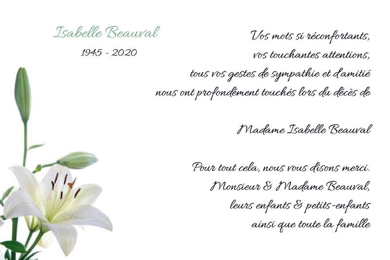 "amaryllis"