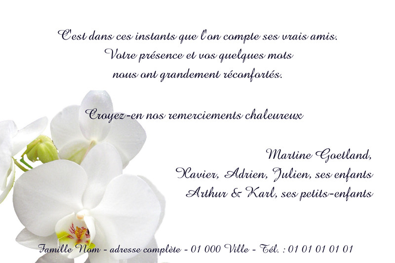 "orchidée blanche"