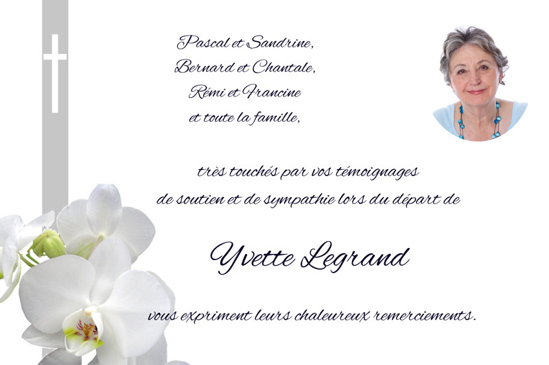 "orchidée blanche avec...