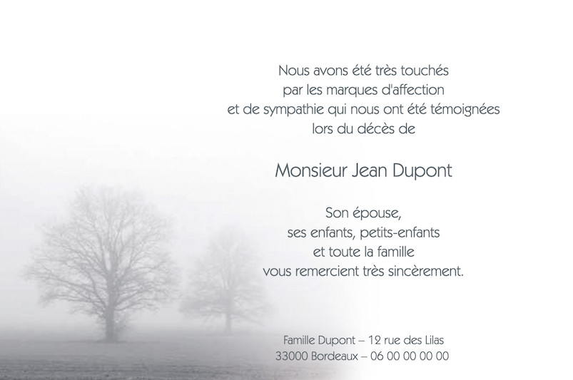 "la brume"