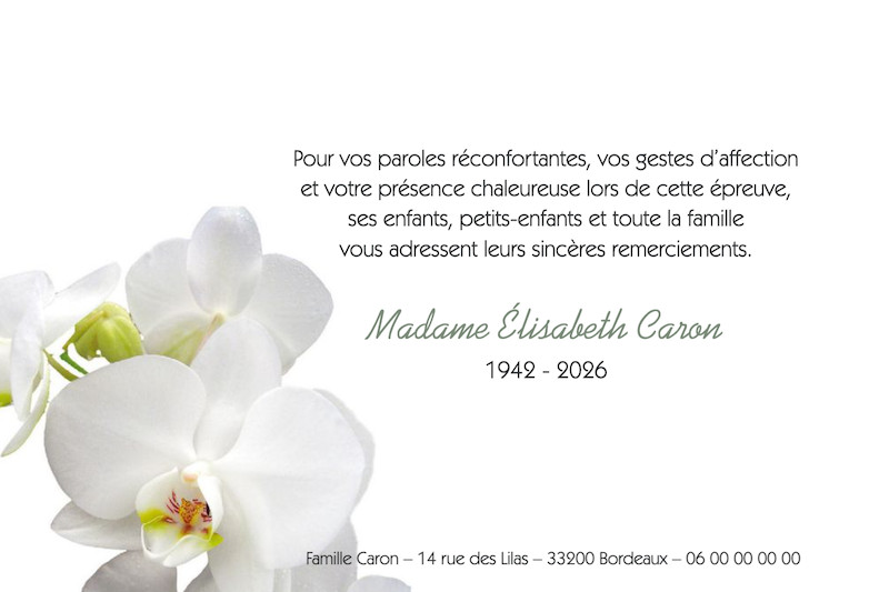 "orchidée blanche"