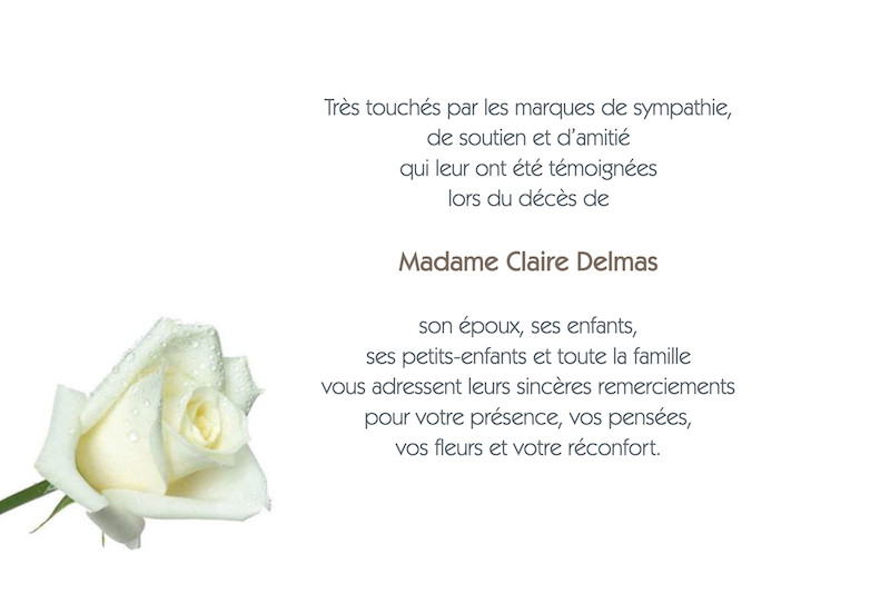 "une rose"