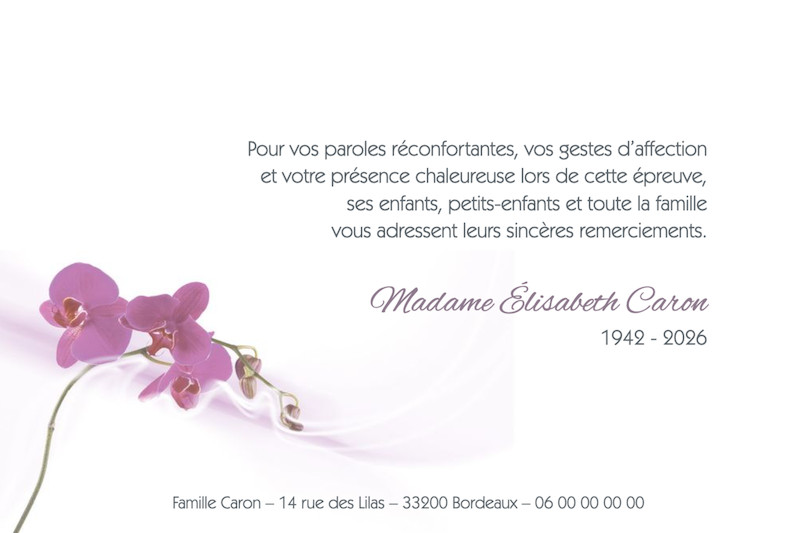 "fleur mauve"